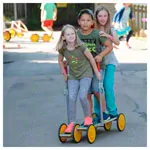 Pedalo Koordinationstrainer Family