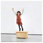 Abbildung zeigt Sprungkasten, L x B x H 70 x 50 x 40 cm, 1-tlg.