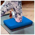 AIREX Balance-Pad Solid