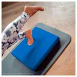 AIREX Balance-Pad Solid