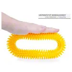 Abbildung zeigt Igelring, � 16 cm, gelb