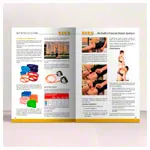 Abbildung zeigt Buch Richellis Fascial Reset System (RFRS) - Therapeutische �bungen f�r Quadranten und myofasziale Ketten, 196 Seiten
