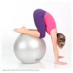 Abbildung zeigt TOGU Gymnastikball Powerball ABS,  55 cm
