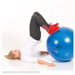 Abbildung zeigt TOGU Gymnastikball Powerball ABS,  55 cm