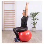 Sit'n Gym Sitzball,  55 cm, rot