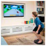 Abbildung zeigt BoBo Balance- und Koordinationstrainer Home 2.0