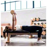 NOHrD Trainingsbank, WeightBench, Kirsche, Kunstleder