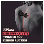 Abbildung zeigt TMX R�ckentrigger PARA