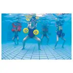 BECO Aqua-Disc SZ,  25 cm, Paar