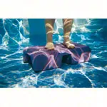 Aqua-Step mit Saugnpfen, 6 kg
