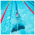 Abbildung zeigt BECO Trainingsflossen X2