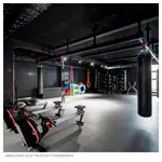 PAVIGYM Randleiste fr Endurance 100x10x0,7 cm