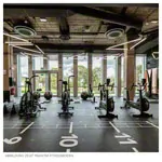 PAVIGYM Randleiste fr Endurance 100x10x0,7 cm