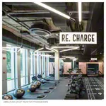 PAVIGYM Randleiste fr Endurance 100x10x0,7 cm