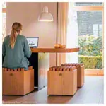 NOHrD Sitzhocker HedgeHock, Esche