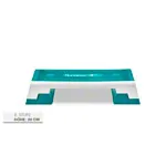 REEBOK Step professional, wei-trkis