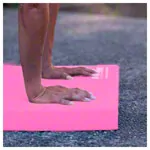 Sport-Tec Balance-Pad, 50x40x6 cm