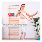 Abbildung zeigt Bali-Impander, 6,5 kp Federdruck, rot-super