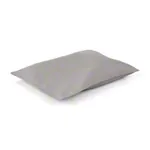 Abbildung zeigt Sandsack mit Quarzsandfllung, 35x25 cm, 4 kg, grau