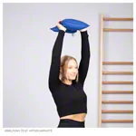 Abbildung zeigt Sandsack mit Quarzsandfllung, 45x30 cm, 7 kg, schwarz