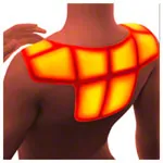 Thermopad Nackenwrmer XXL, 3er-Box