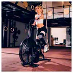 ASSAULT FITNESS AirBike Classic