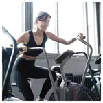 ASSAULT FITNESS AirBike Elite