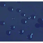 lresistenter Liegenbezug mit PU-Beschichtung, 200x65 cm, blau
