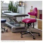BIOSWING oneUP EASY mit Rckensttze