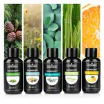 CosiMed Saunaduft-Probierset Unsere Besten, 5 Flaschen  50 ml
