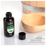 CosiMed Saunaduft-Probierset Unsere Besten, 5 Flaschen  50 ml