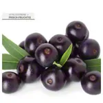 Abbildung zeigt cosiMed Massage�l Acai, 1 l
