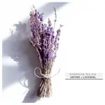 Abbildung zeigt cosiMed Wellness-Massage�l Amyris-Lavendel, 1 l