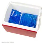 Abbildung zeigt Eisbox klein, 6,6 l