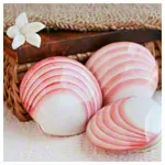 Abbildung zeigt LavaShell Massage-Muschel aus Porzellan