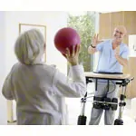 THERA-Trainer Steh- und Balancetrainer balo 536