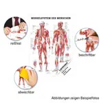 Lehrtafel 
