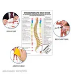 Abbildung zeigt Poster Wirbeltherapie nach Dorn, LxB 70x50 cm