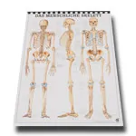 Mini-Poster Set, 20 Stck