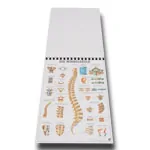 Mini-Poster Set, 20 Stck