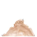 Abbildung zeigt Anatomisches Modell Stecksch�del, 18-tlg., wei�
