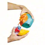 Anatomisches Modell Steckschdel, 18-tlg., bunt