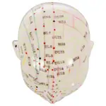 Akupunkturmodell Kopf, 20 cm