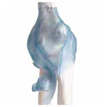 Abbildung zeigt Ellenbogengelenk, LxBxH 28,5x16,5x14,5 cm