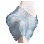 Abbildung zeigt Ellenbogengelenk, LxBxH 28,5x16,5x14,5 cm