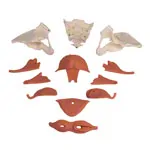 Weibliches Becken mit Beckenbodenmuskulatur