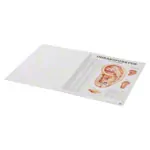 Mini-Poster Booklet 