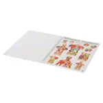 Mini-Poster Booklet 
