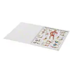 Mini-Poster Booklet 