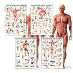 Mini-Poster Booklet 